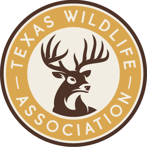 Texas Big Game Awards Celebration - August 22 Athens - logo